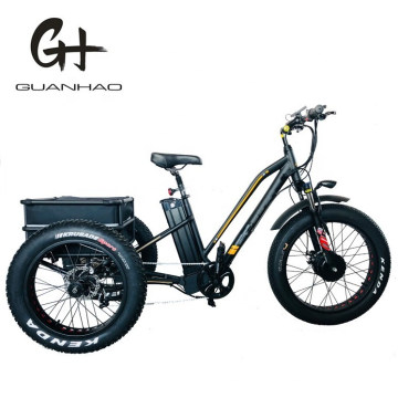 750W Adult 3 Three Wheels Cargo Bike Electric Fat Tricycle